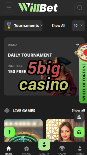 5Big Casino - Biggest Jackpots & Bonuses-casinocasi.ydblkf.net