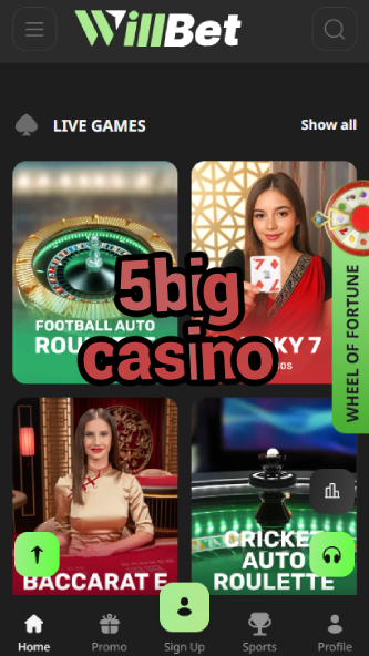 5Big Casino - Biggest Jackpots & Bonuses-casinocasi.ydblkf.net