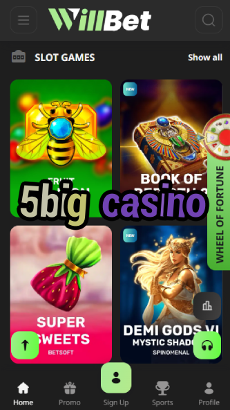 5Big Casino - Biggest Jackpots & Bonuses-casinocasi.ydblkf.net